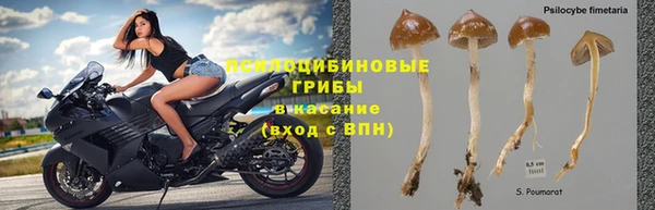 мдма Богданович