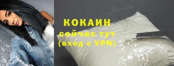 2c-b Богородицк