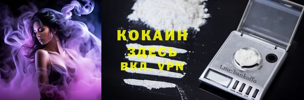 2c-b Богородицк