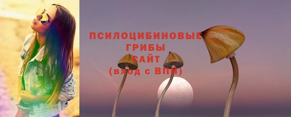 2c-b Богородицк
