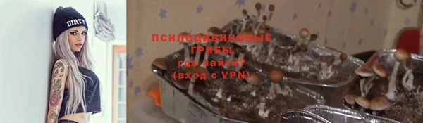 2c-b Богородицк