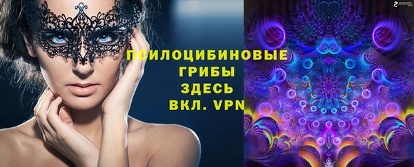 2c-b Богородицк