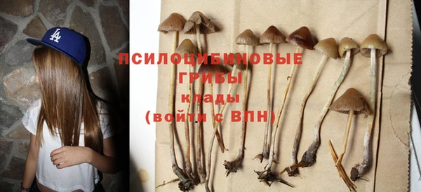 мдма Богданович