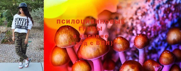 гашик Покачи